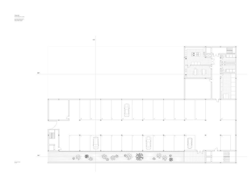 PS HIERBA_page-0001.jpg