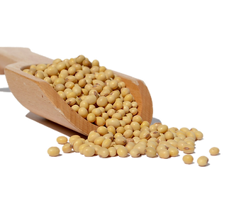 R.c1c574b4c2a41b54bafa240ab39a2a8d.png