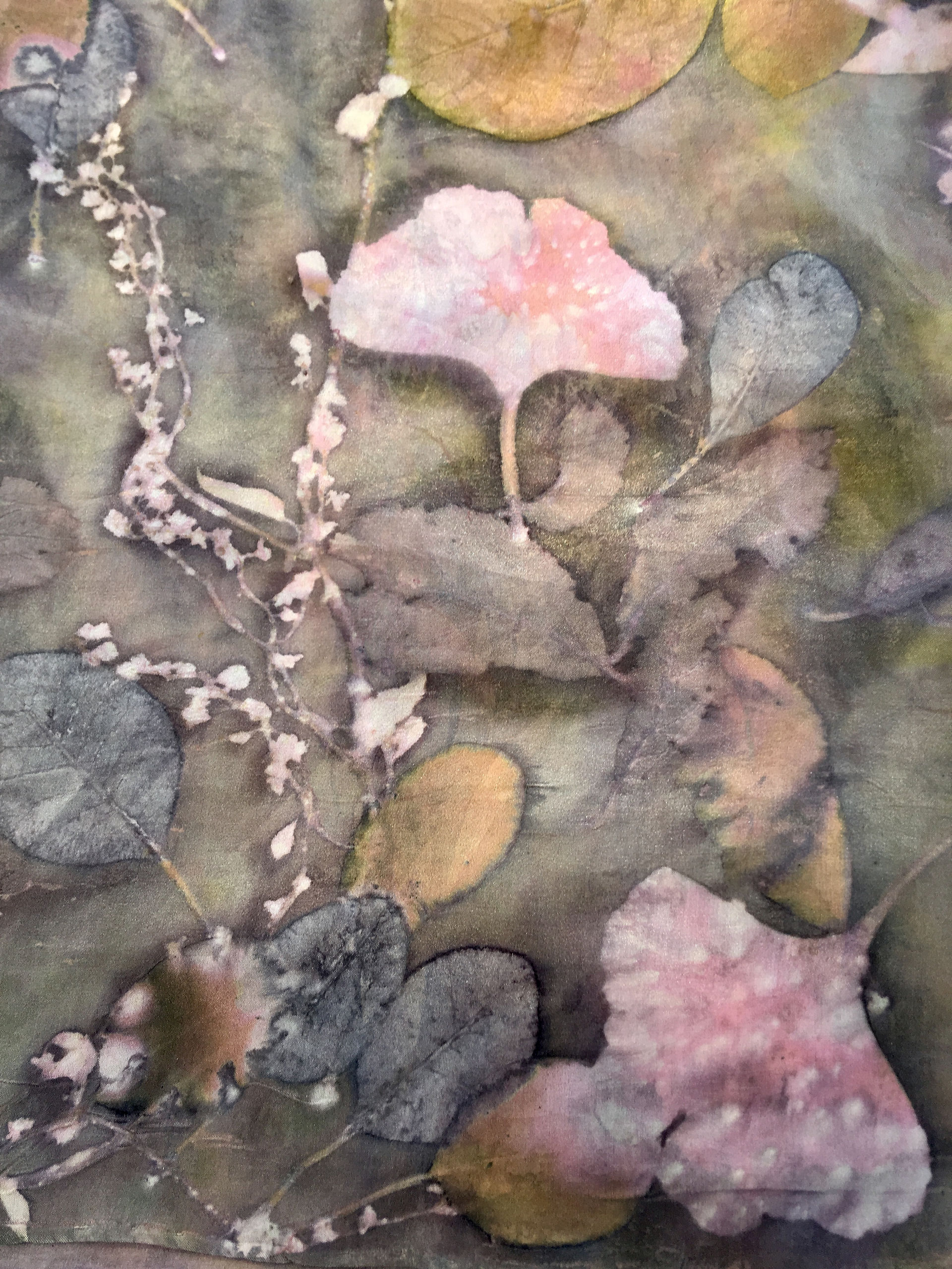 NPCF2018 Sue Walsch pink leaves