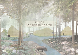 岡崎隼也