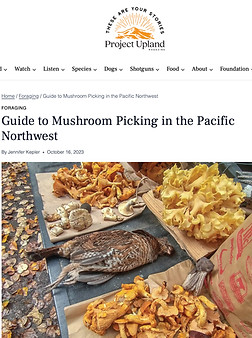 Guide to Mushroom Picking_edited.jpg