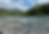 IMG_7204_edited.png
