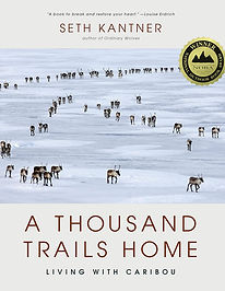 A Thousand Trails Home.jpg