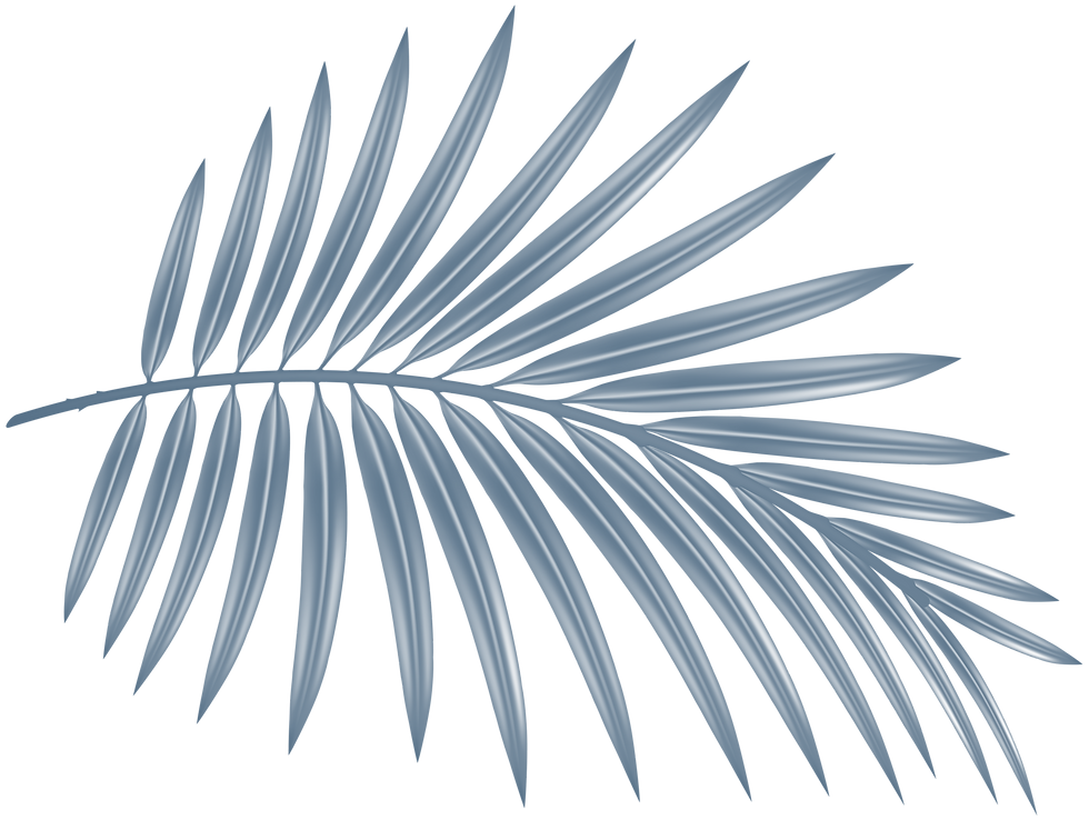 State Rep. Bill Hager. Represents District 122 sc palm leaf.png