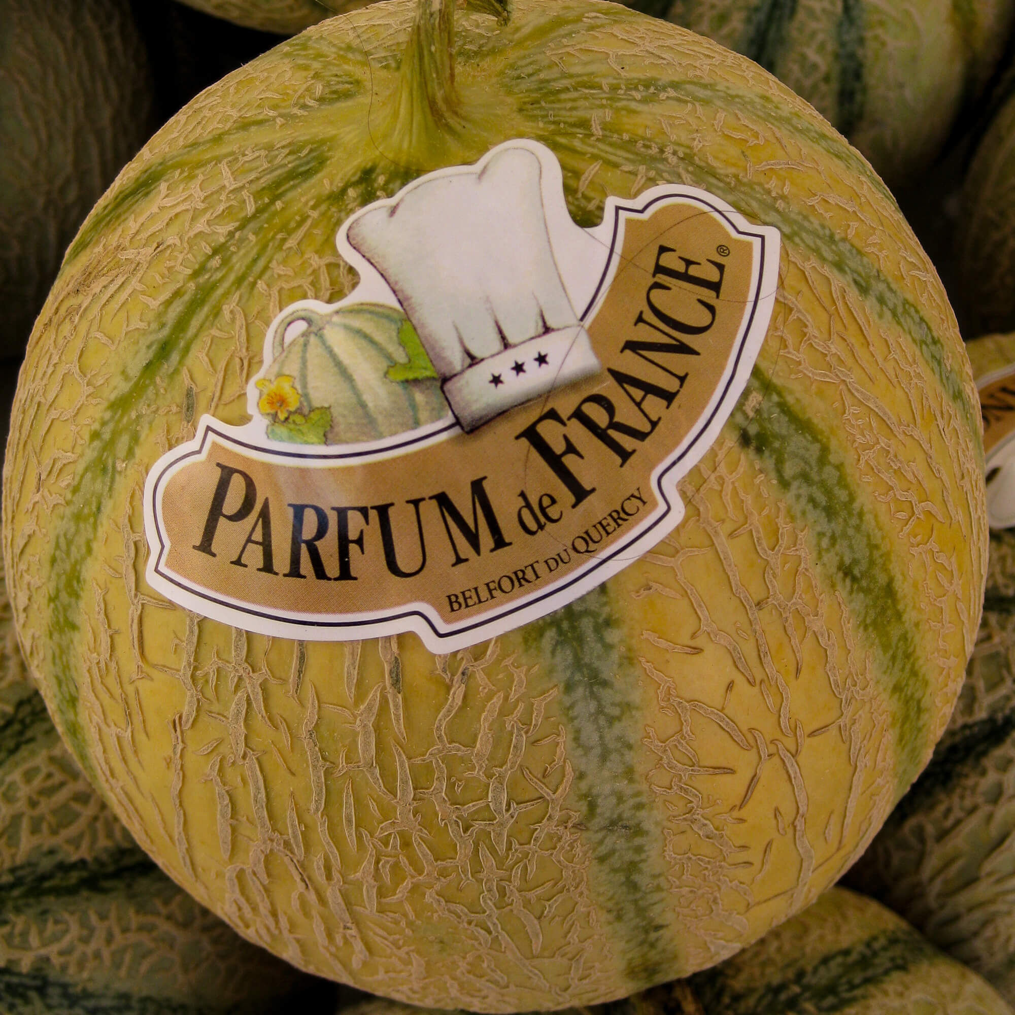 Melon