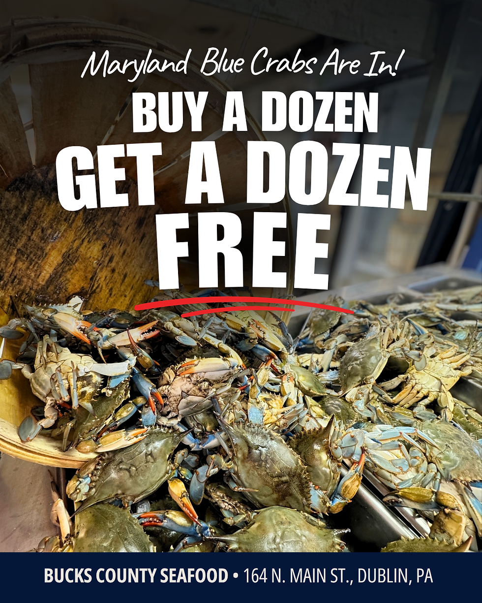 dozen (1).png