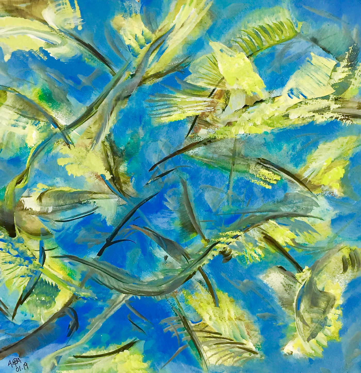 Vögel / Birds