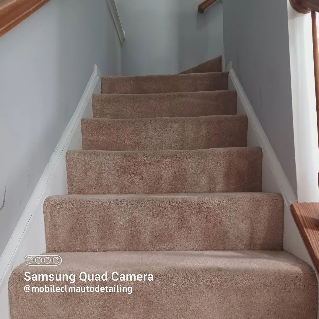 residential carpet cleaning Clm auto detailing