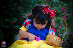 Alice Branca de neve (27)