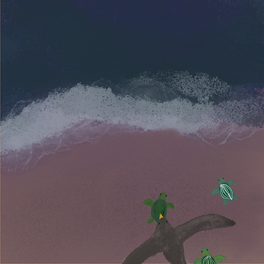 A night beach with turtles crawling towards the ocean, while a bird circles overhead.