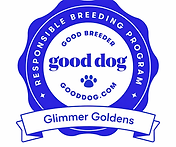 image0 (3).png