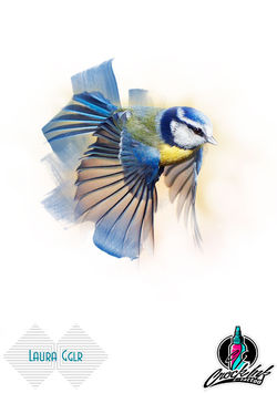 Tattoo Laura Gaugler bird