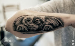 Tattoo Laura Gaugler Gizmo Gremlins