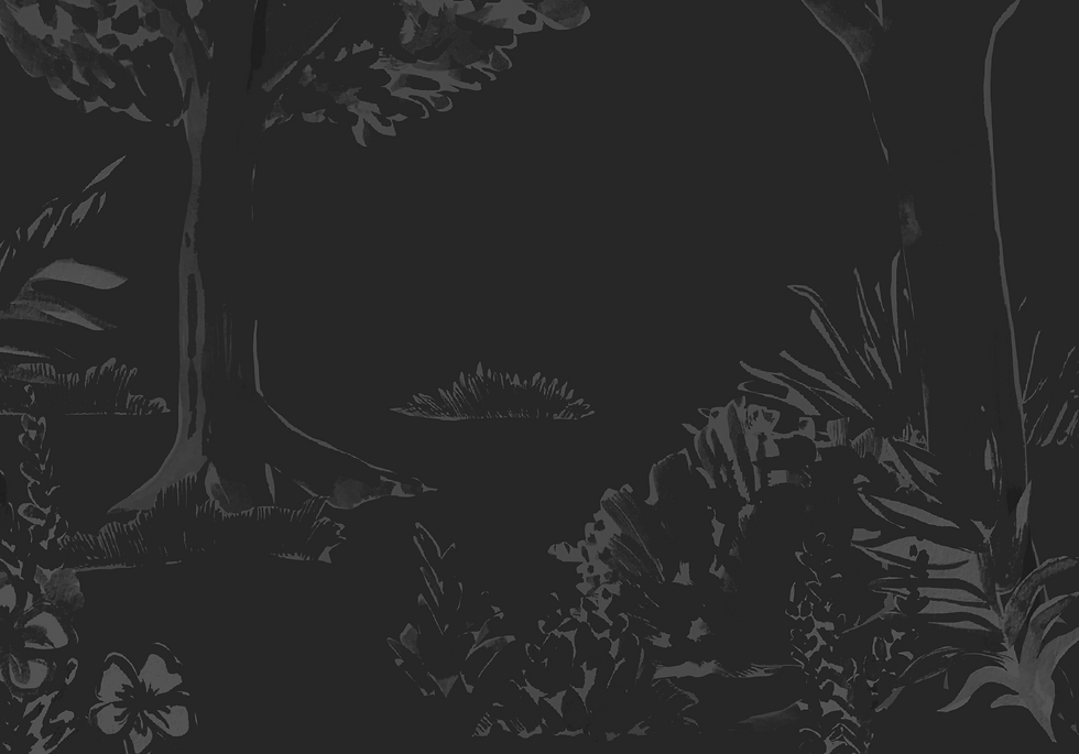 Untitled_Artwork 12.png