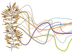AlgaeStringsGraphics-03.png