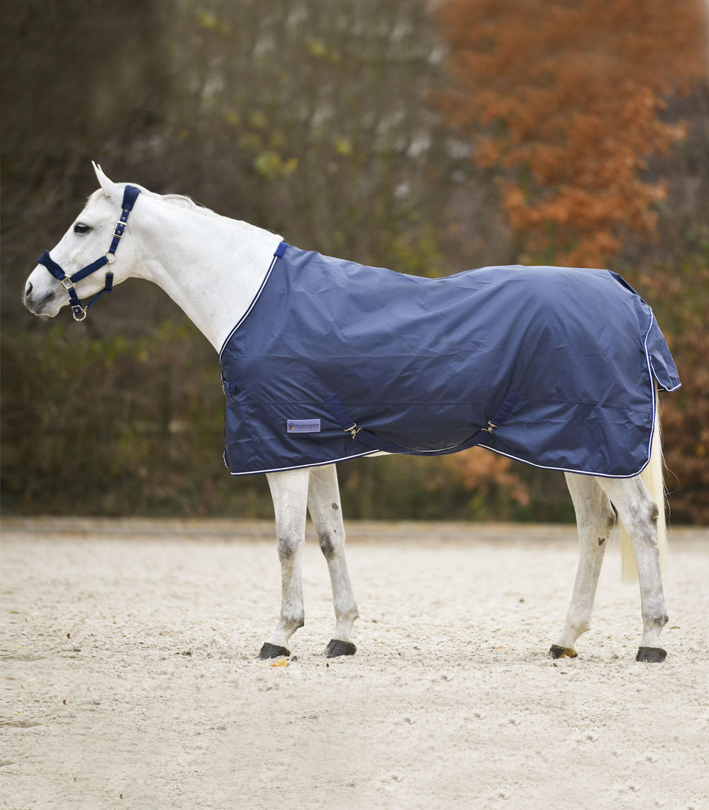 Chemise de pluie cheval