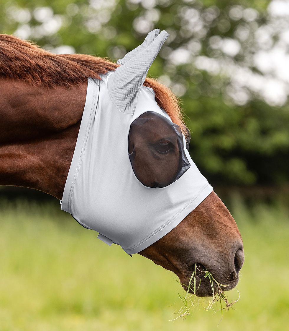 Masque anti-mouches – Protection optimale