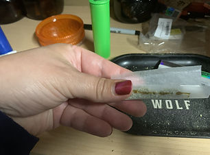 Indigenous Cannabis Tourism