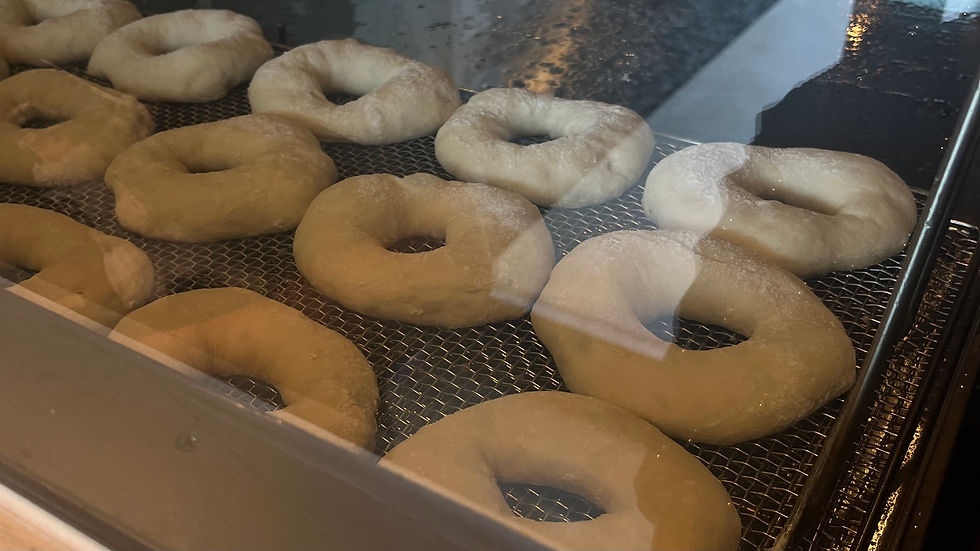 HELVETICA donut