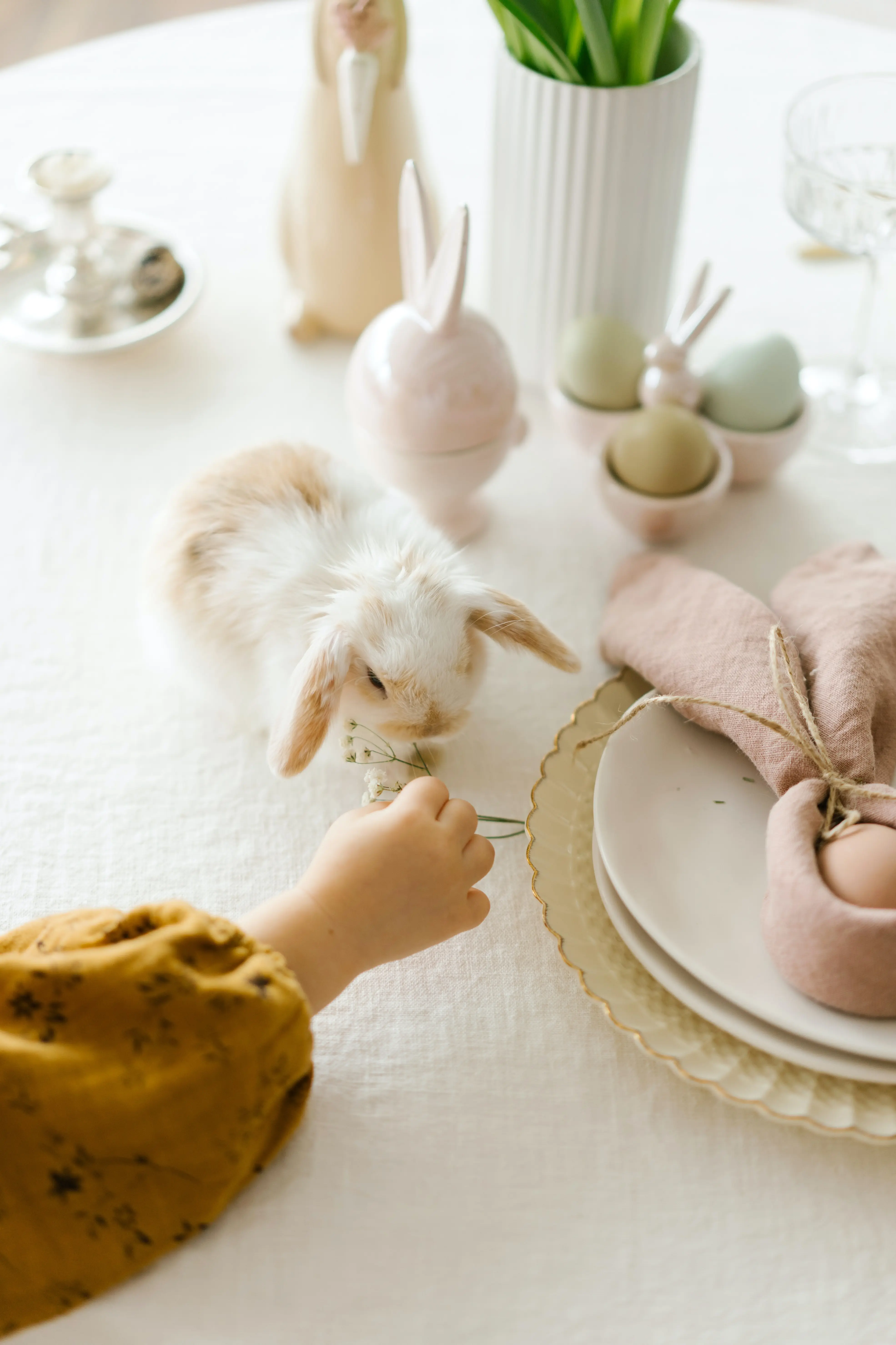 Lapin de Pâques ou Lièvre de Pâques, une des traditions alsaciennes et mosellanes la plus populaire