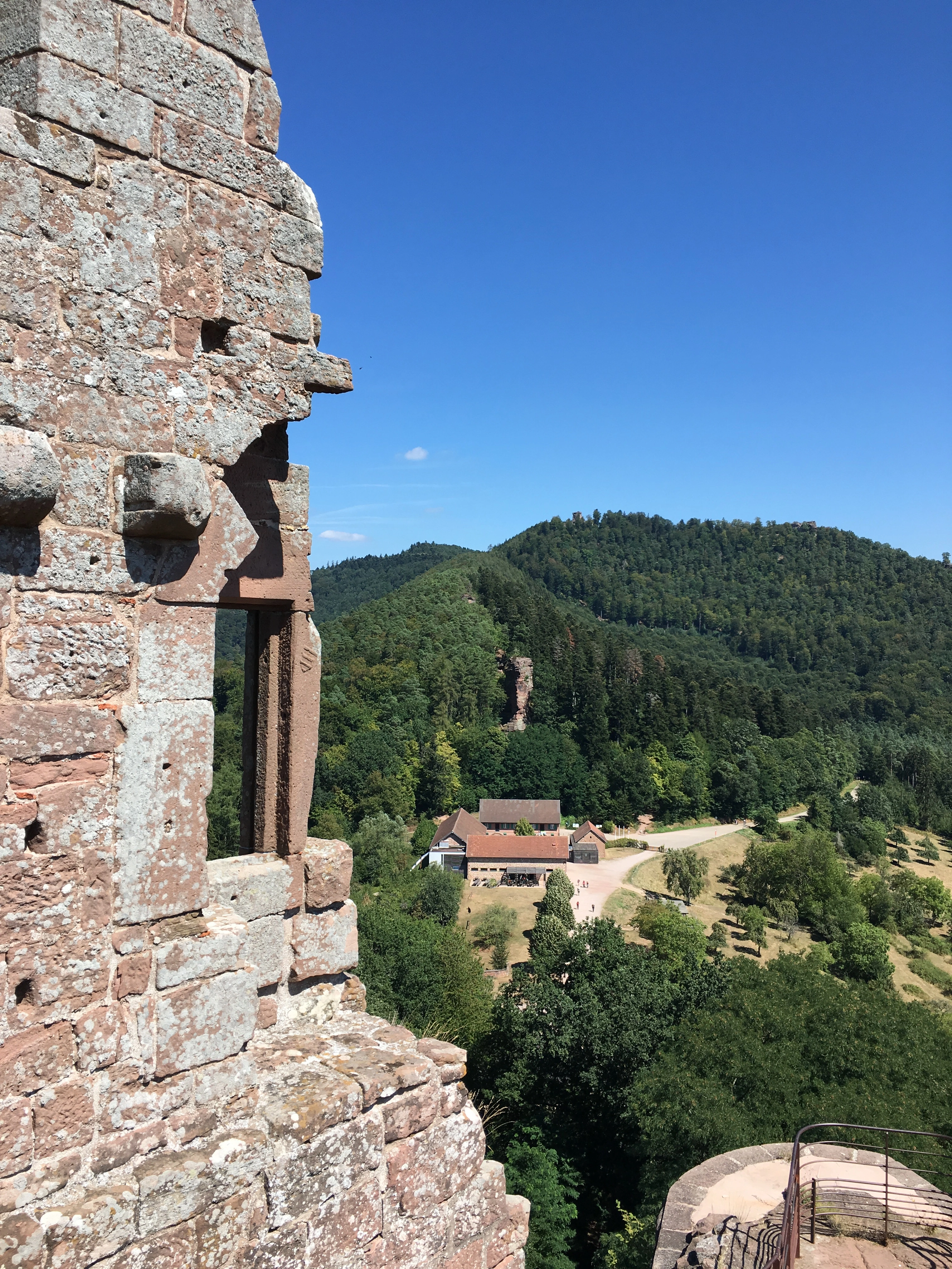 Le château du Fleckenstein dans les Vosges du Nord en Alsace.