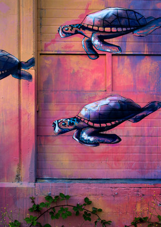 Seattle_Mural_Turtles_Burke Gillman Trail_1.jpg
