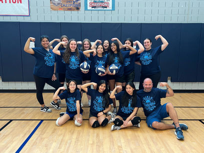 P.S. 87 Volleyball