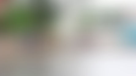 El comercio en 'Progreso'