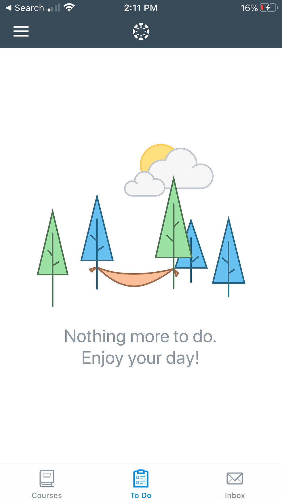 Screenshot from Canvas Teach App