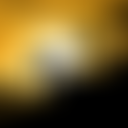 Servant Leadership: Do you feel it's an honor and a privilege to serve your employees?