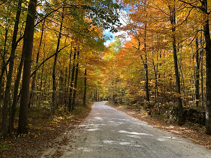 Lake Roads Cleanup Week