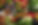 winter-veggies.jpg