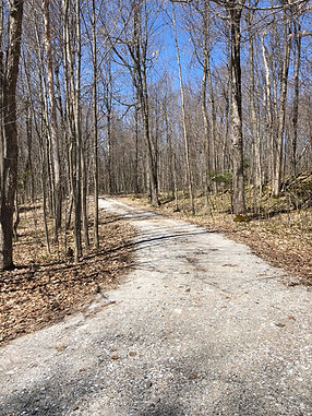 Lake Roads Cleanup Week