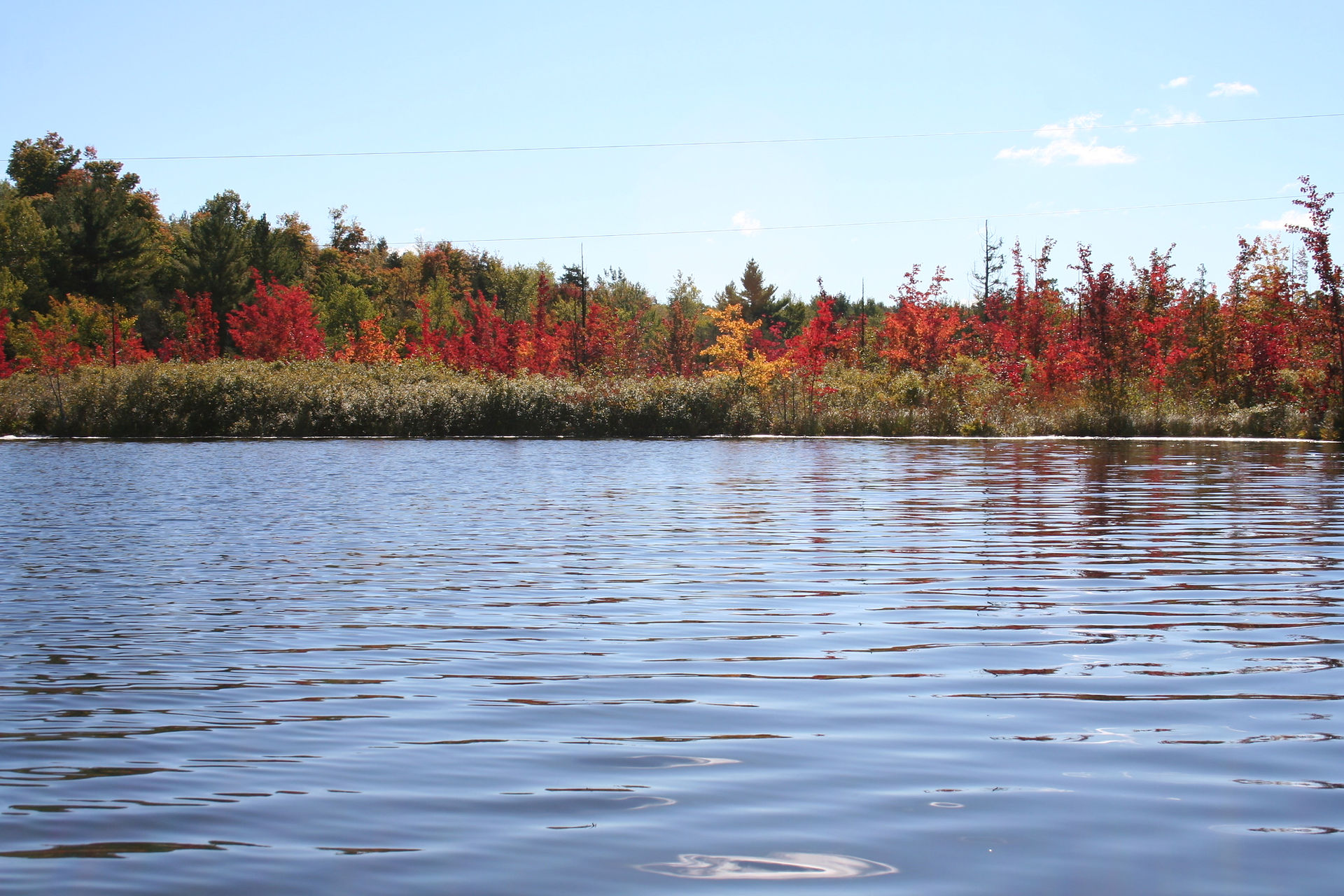 Sylvia Lake News and Events 2003Present