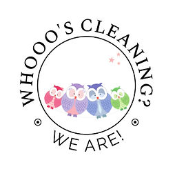 Screenshot 2025-01-19 155139_edited.jpg