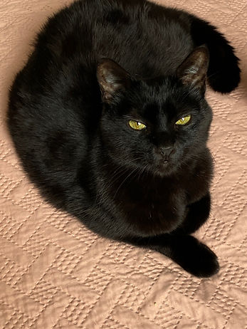 SALEM_edited.jpg