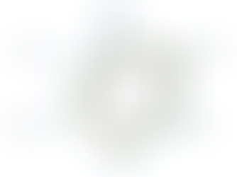 Enhancing Objectivity of Hiring Decisions with Objective Psychological Insights