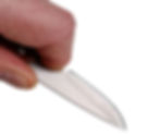 Anglo Arms hunting and survival knives.