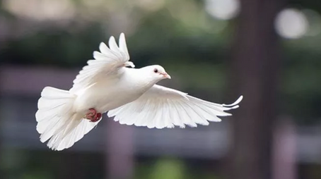 Rabu, 29 September 2021