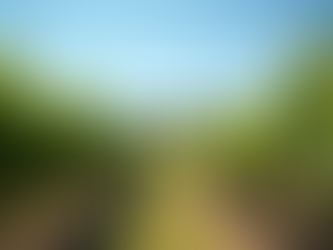 Discovering Arizona's Finest Wine Tours