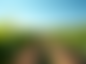 Planning Your Arizona Wine Tour Adventure: Arizona Wine Tour Booking