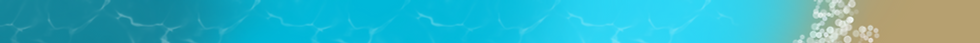 Untitled_Artwork (2).png