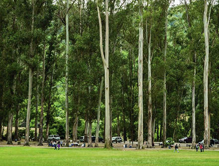 2026 Annual Meeting & Family Picnic