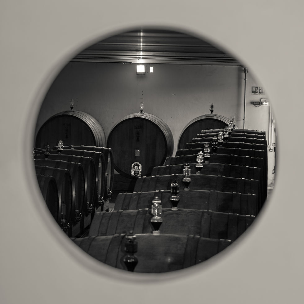 Die Barolo Einzellagen von G.D. Vajra aus dem Piemont