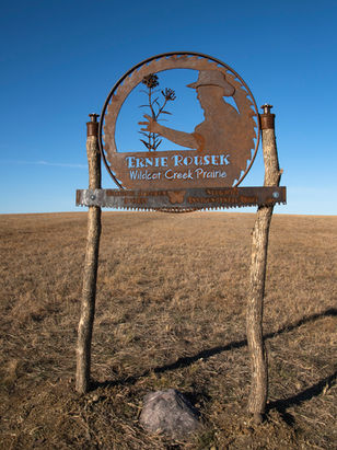 20211121S_Wildcat_Dalby_Prairie_DSA_143.jpg