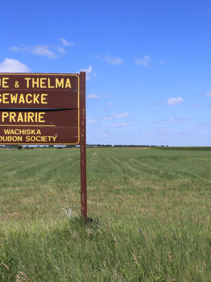 01a-Gewacke Pr. Sign vwW 15 July'14.JPG