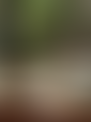 Discover the Best Luxury Tea Gift Sets for Her in the UK