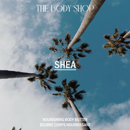 截屏2021-05-06 上午11.33.34.png