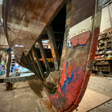 VIOLA 11