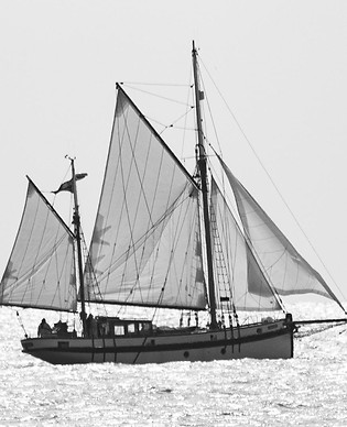 OUR LIZZIE SEA.jpeg
